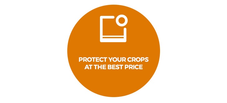 alert-Multiperforated-row-cover.jpg